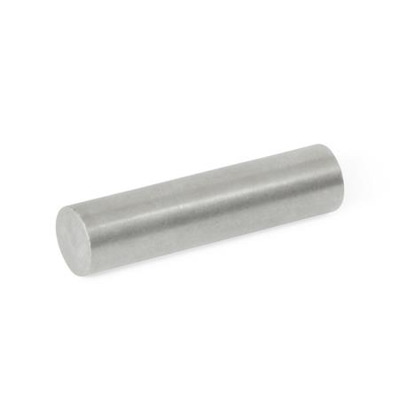 Otto Ganter Raw Magnet Rod Shaped, GN 55.3